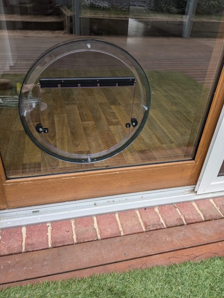 Custom Glass Pet Doors installed by Glazify